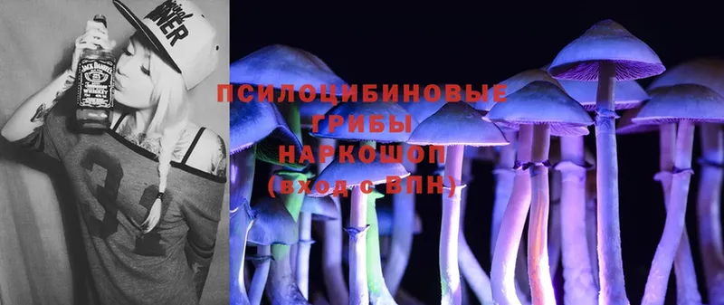 Псилоцибиновые грибы MAGIC MUSHROOMS  MEGA вход  Абдулино 